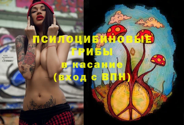 гашик Елизово