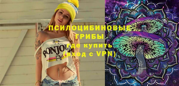гашик Елизово