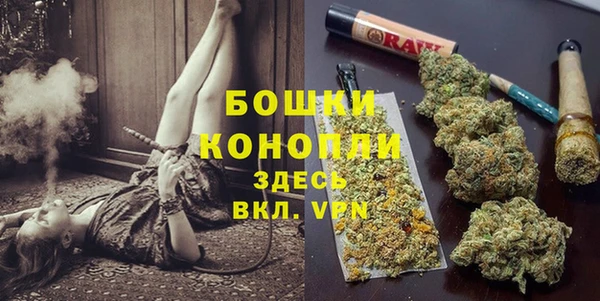a pvp Ельня