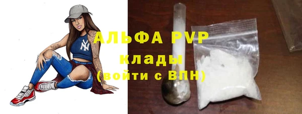 гашик Елизово