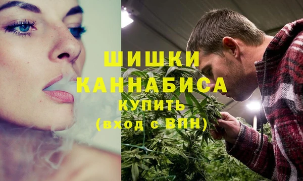 a pvp Ельня