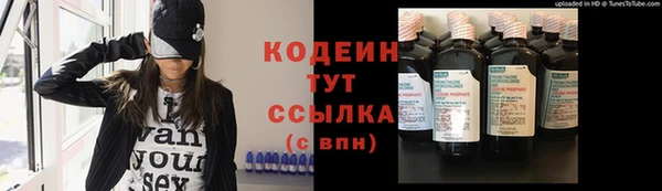 гашик Елизово