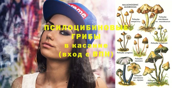 дурь Елабуга