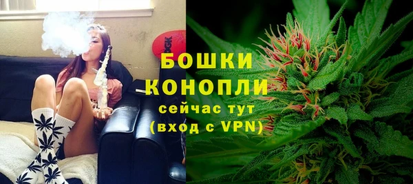 дурь Елабуга