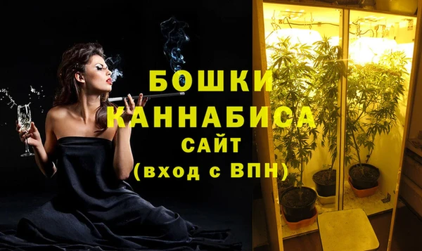 гашик Елизово