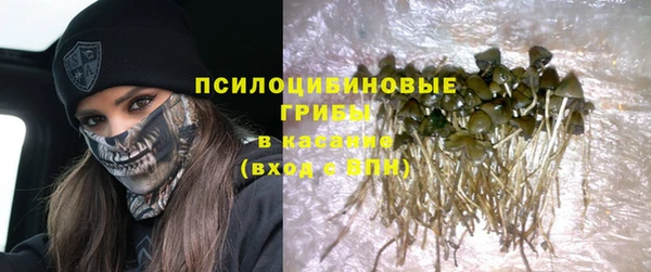 дурь Елабуга