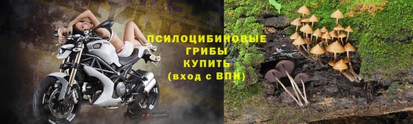 a pvp Ельня