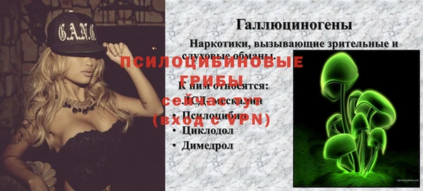 a pvp Ельня
